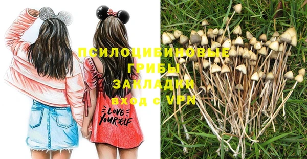 ECSTASY Аркадак